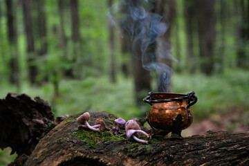 witch copper cauldron and mushrooms on stump in forest, natural background. Magic ritual,...