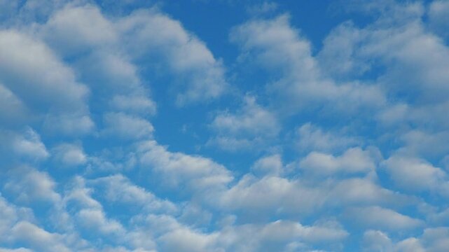 Altocumulus high cumulus heaped cloud genus that belongs mainly to stratocumuliform. Globular masses or rolls in layers or patches. Cumuliform stratocumuliform clouds, altocumulus signifies convection