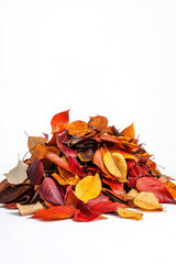 A vibrant pile of autumn leaves in shades of red, orange, and yellow on a white background.