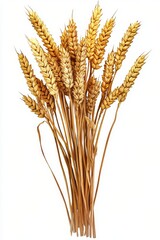 Fototapeta premium Wheat stalks tied together, showcasing the beauty of harvested crops in a rustic display