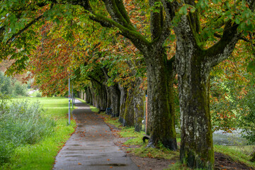 Naklejka premium Immenstadt