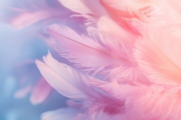 Obraz premium A close up of a pink feather with a blue background. The feather is the main focus of the image, and it is the most vibrant and eye-catching element
