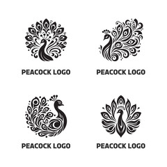 Fototapeta premium Peacock Silhouette Vector Art Illustration Design