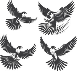 Fototapeta premium Black and White Silhouette of a Peregrine Falcon in Flight | Stock Vector Illustration