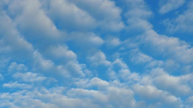Altocumulus high cumulus heaped cloud genus that belongs mainly to stratocumuliform. Globular masses or rolls in layers or patches. Cumuliform stratocumuliform clouds, altocumulus signifies convection