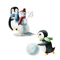 Cute smiling penguin wearing a green, blue scarf with Snowball for making snowman. Christmas north animal, watercolor hand painted illustration isolated on background. For designers, decoration, shop,