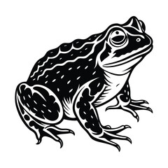 Toad silhouette vector
