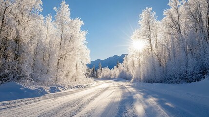 Winter sun filters through frost-covered trees along a road in Palmer, Alaska, with frost sparkling in the air against a blue sky and the Chugach twin peaks.