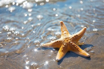 A starfish is laying on the sand in the ocean