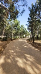 path in the park