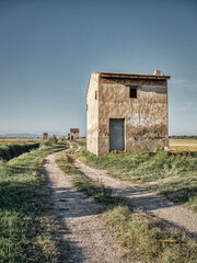 Caminos de la Albufera de Valencia