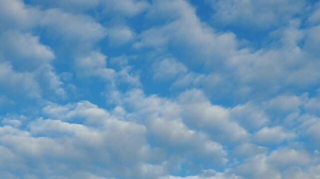 Altocumulus high cumulus heaped cloud genus that belongs mainly to stratocumuliform. Globular masses or rolls in layers or patches. Cumuliform stratocumuliform clouds, altocumulus signifies convection