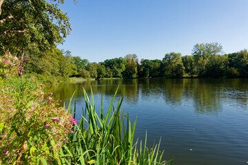 Annateich in Hannover Hermann - Löns - Park