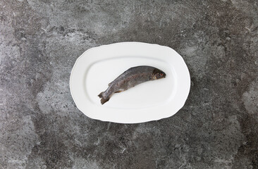 Single trout on white service plate studio photography, daylight without people