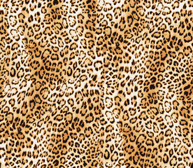 leopard seamless pattern with leopard print
