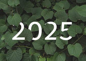 2025 New year white text hidden in natural green leaves wall