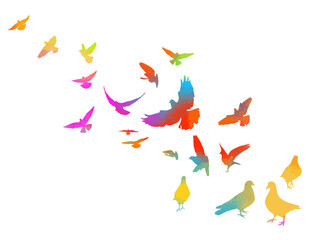 Abstract flying colored birds. hand drawing. Not AI. Vector illustration