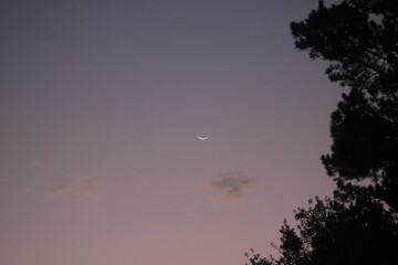 Early morning moon and clouds