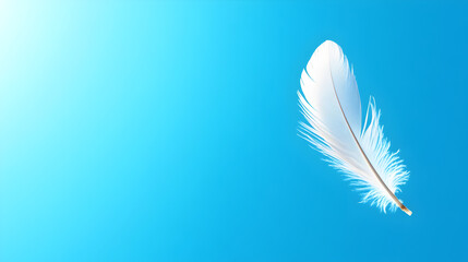 Naklejka premium A soft sky-blue background with a single white feather slowly descending. Feather on a blue background.