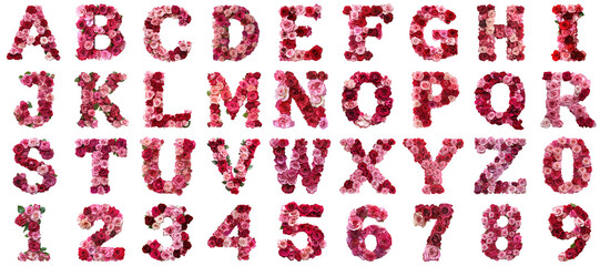 Alphabet rose flower png isolated set in 3d transparent using for presentation.