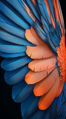 Obraz premium This wallpaper features an abstract feathers pattern in blue and orange