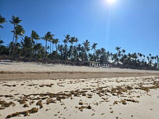 Beach with Palms and white sand