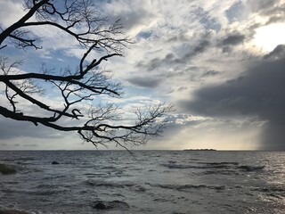 Storm clouds, rain and sun over the sea. High quality photo