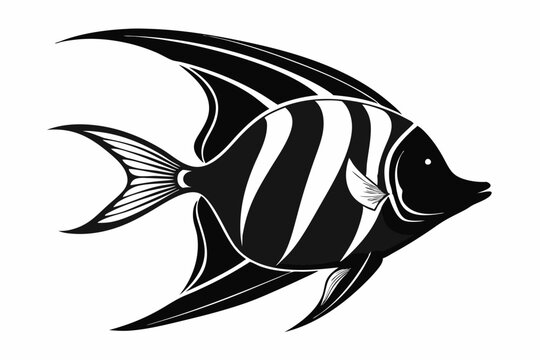 recommend clip art: Angelfish vector silhouette black color illustration