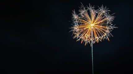 Fototapeta premium Vibrant Firework Explosion in Night Sky
