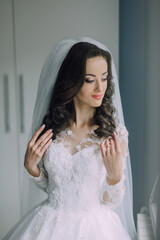 A woman in a white wedding dress is posing for a picture. She is wearing a veil and has her hands on her hips. Concept of elegance and sophistication, as the bride is dressed in a beautiful gown