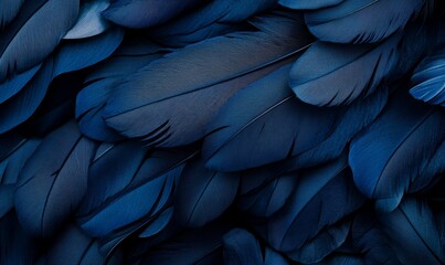 The dark black feathers background serves as an abstract wallpaper header generated by AI