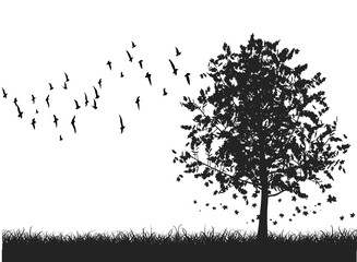 tree black and white vector and image.