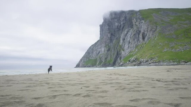 chien qui court sur la plage de Kvalvika en norvege dans les lofoten sur le sable avec brume au sommet de la falaise