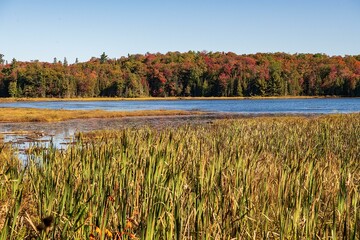 autumn in the mountains