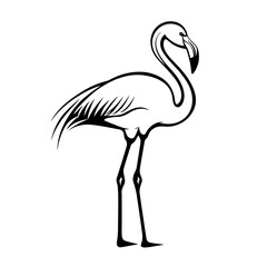 This design features a standing flamingo illustrated in a minimalist line style, showcasing its distinct posture and elegant form suitable for various graphic applications