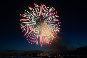 Fireworks in the night sky