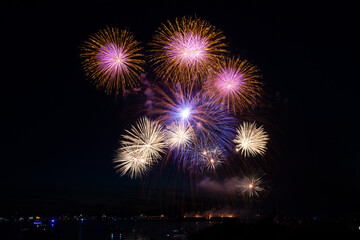 Fireworks in the night sky
