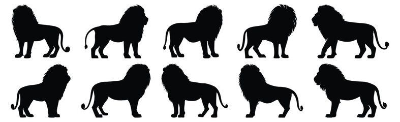 Lion silhouettes set, animal pack of vector silhouette design, isolated background.