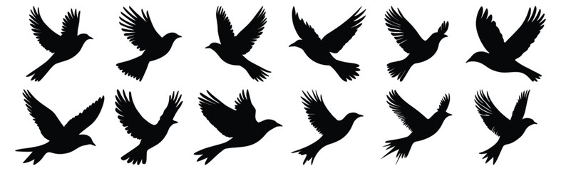 Bird silhouettes set, flying pack of vector silhouette design, isolated background.