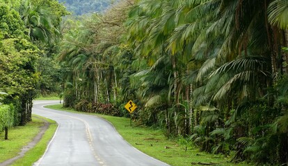 Estrada da Graciosa, estrada histórica que liga Curitiba, capital do estado do paraná às cidades de Morretes e Antonina., Brasil
