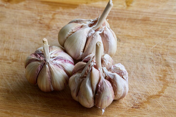 Nothing beats the aroma of fresh garlic. A kitchen staple that adds bold flavor and endless...