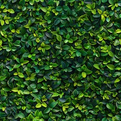 Fototapeta premium Dense wall of tiny leaves, arranged to create a seamless surface, vibrant greens and intricate textures, perfect for tranquil designs.