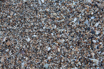 Beach sand crushed seashell background texture, colorful beautiful shell and coral fragments, Fiji
