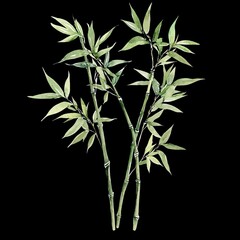 Obraz premium Bamboo Stalks Digital Illustration