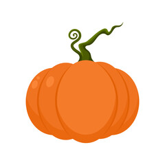 Pumpkin vector illustration. Flat design style