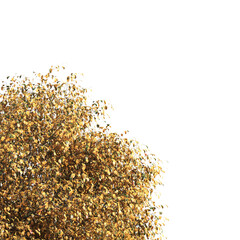 Autumn tree branch isolated on transparent background. Autumn tree branch isolated on white background. Autumn Corner tree isolated on white background. transparent png leaves for corner.