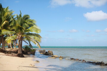 Beautiful tropical island beach with sand and palm trees, blue sky, Fiji