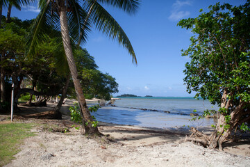 Beautiful tropical island beach with sand and palm trees, blue sky, Fiji