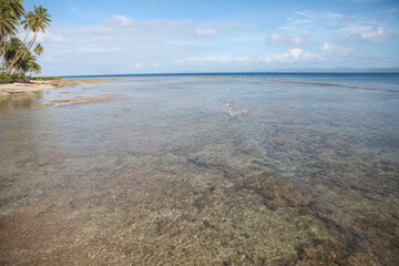 Shallow coral reef at low tide, Savusavu, Fiji