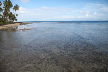 Shallow coral reef at low tide, Savusavu, Fiji